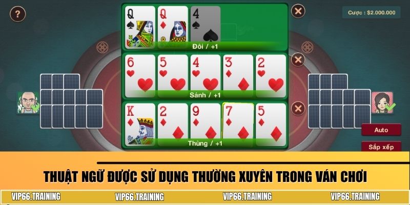 Thuật ngữ được sử dụng thường xuyên trong ván chơi